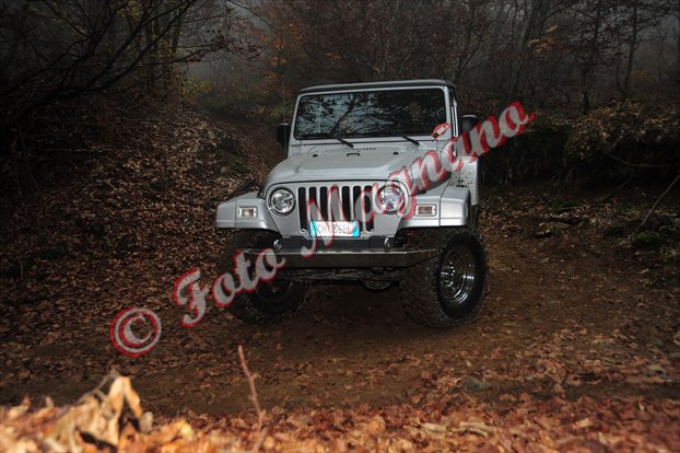 DSC_3736.jpg